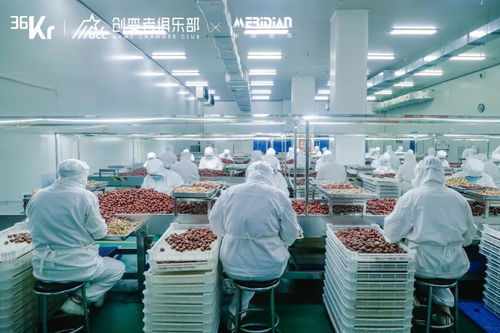 源头工厂 消费产业增长的韧性引擎——互联网销售新业态下的产业带计划